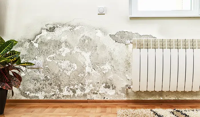 Knowing The Signs of Water Damage is a Must