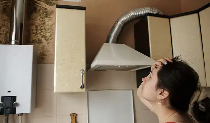 5 Signs That Mold Could Be Hiding in Your Home