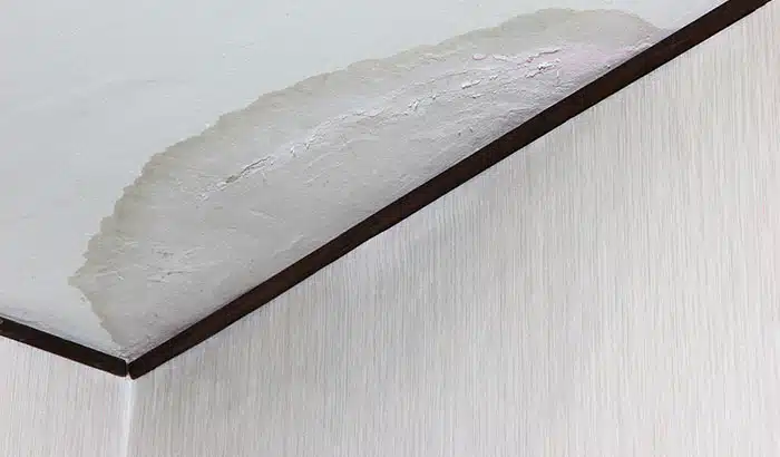 5 Most Frequently Asked Questions About Water Damage