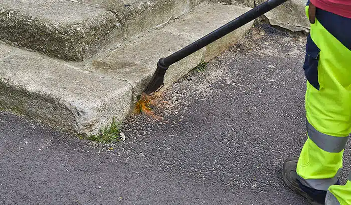 Fire Prevention: How to Safely Burn Weeds?