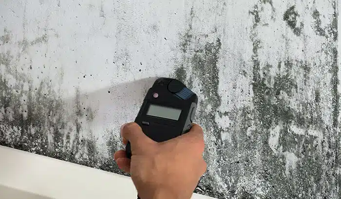 6 Things About Mold You May Not Know