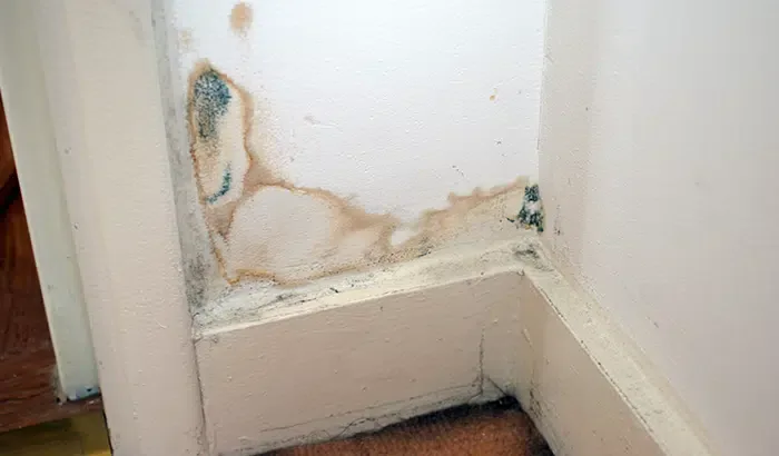 Mold on wall in room with door.