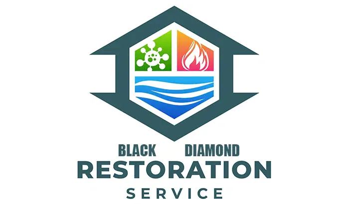 A sleek black diamond shape with the word 