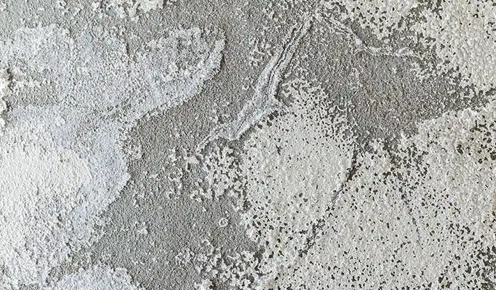 A Water Leak Can Cause Mold. Here's How
