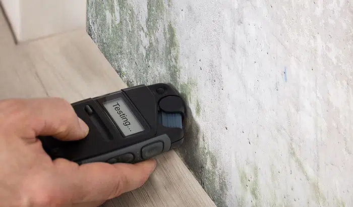 Can I Do a Mold Test Myself? What The Experts Say