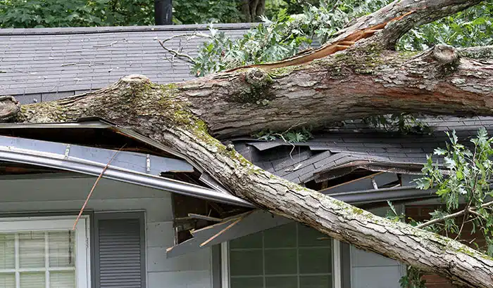 My House Has Wind Damage. What Do I Do?