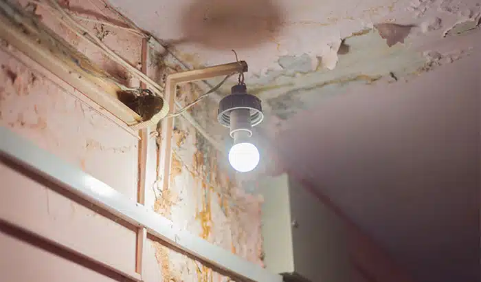 Can Sewage Damage Cause Electrical Damage? 25 Things You Need to Know