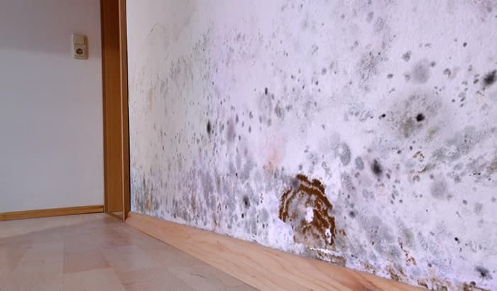 The Hidden Costs of Ignoring Water Damage in Your Home