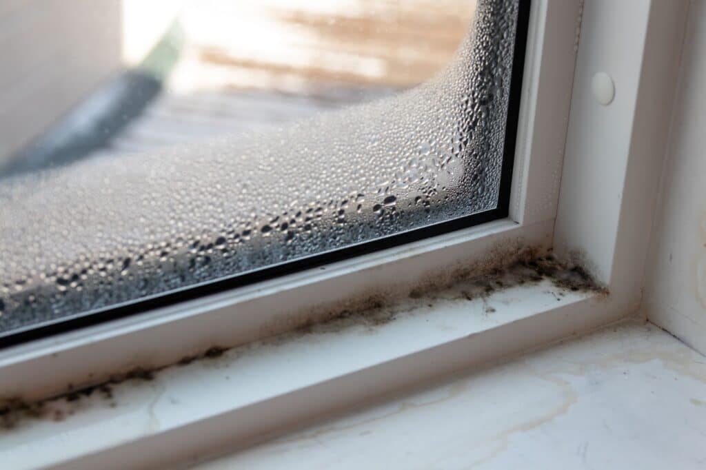 An image showing cleanup and total restoration process after long-term water damage, exhibiting water damage effects