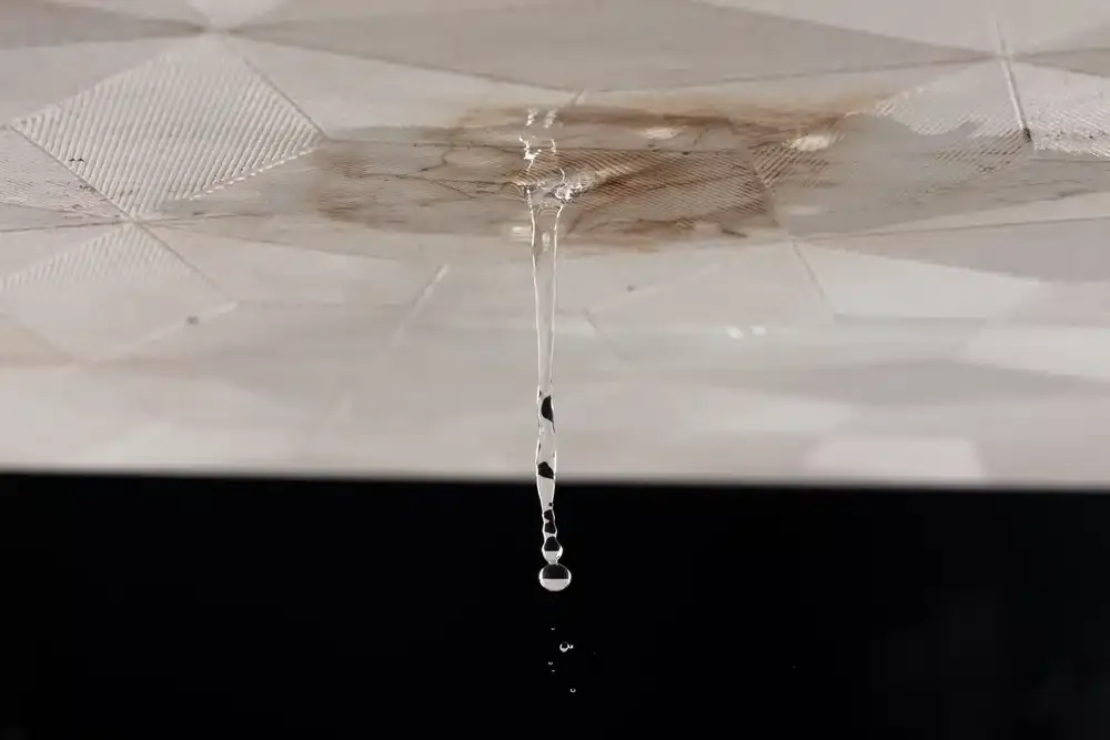 water damage cleanup salt lake city