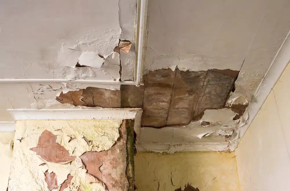 water damage restoration salt lake city