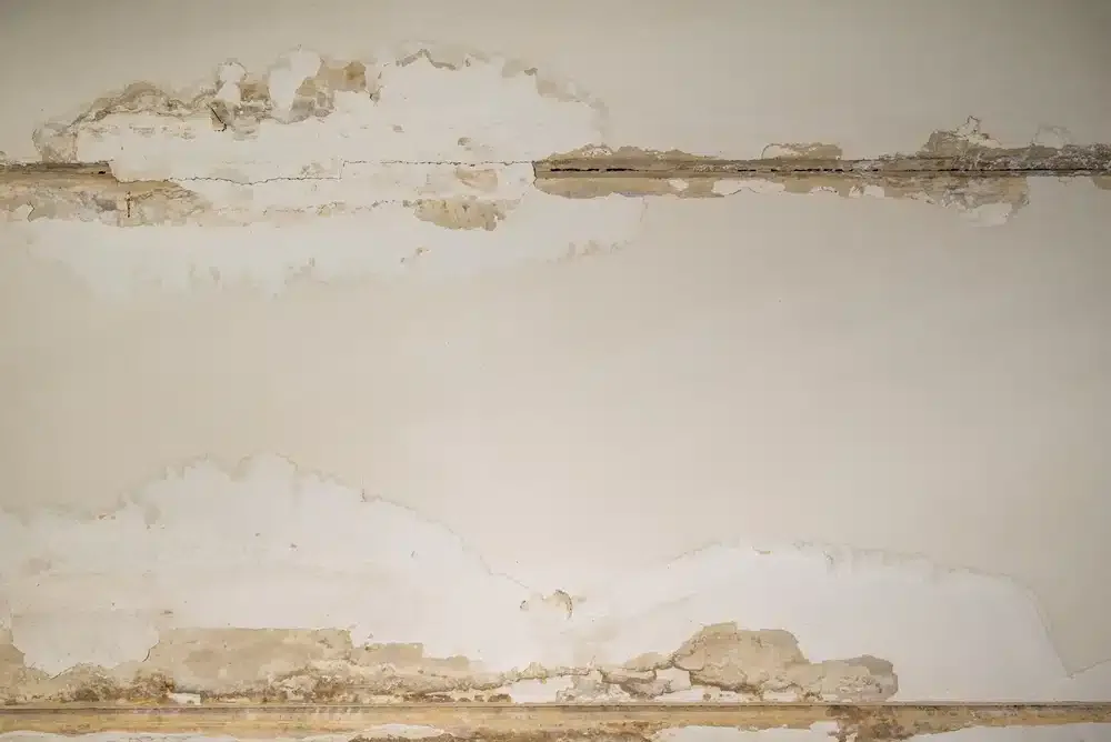 drywall damage from water
