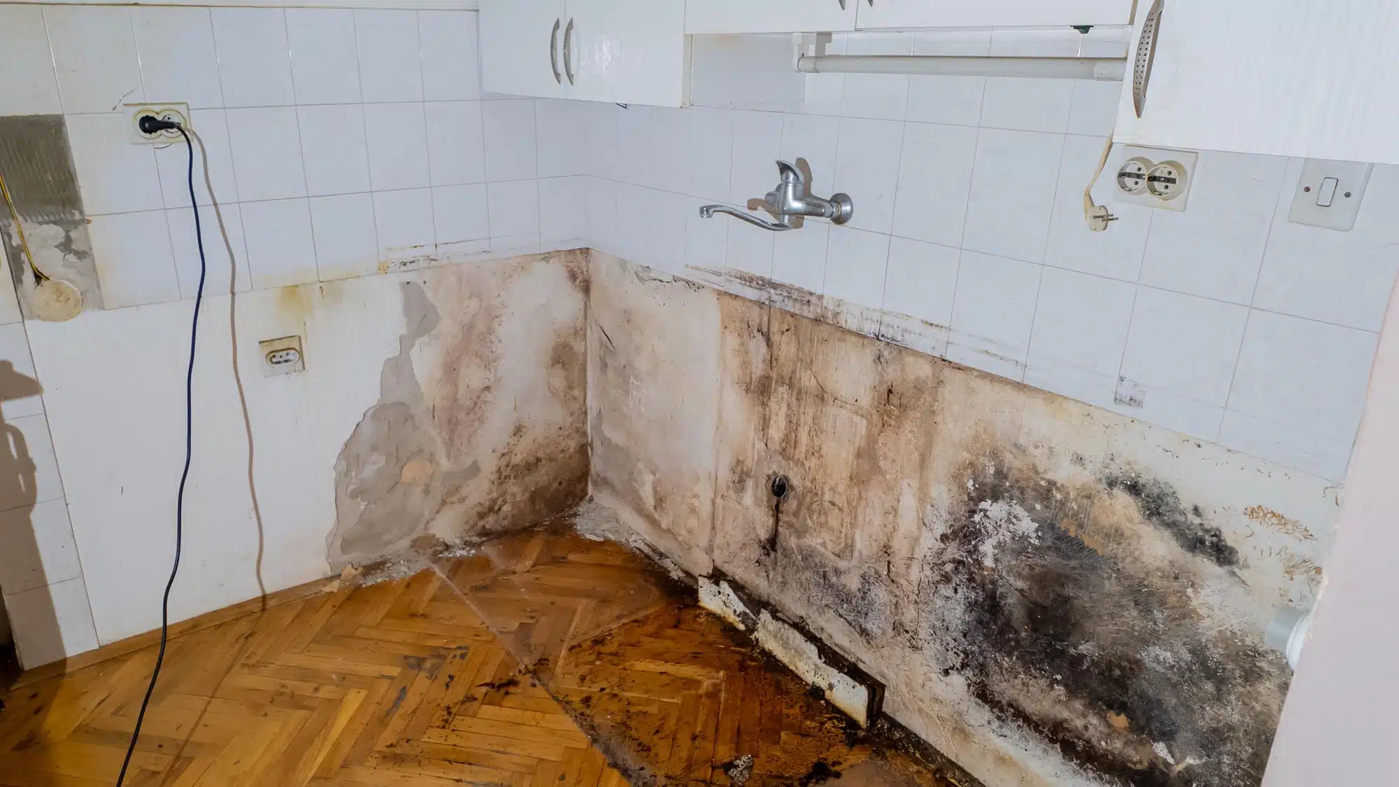 Water damage and mold growth behind kitchen cabinets requiring remediation