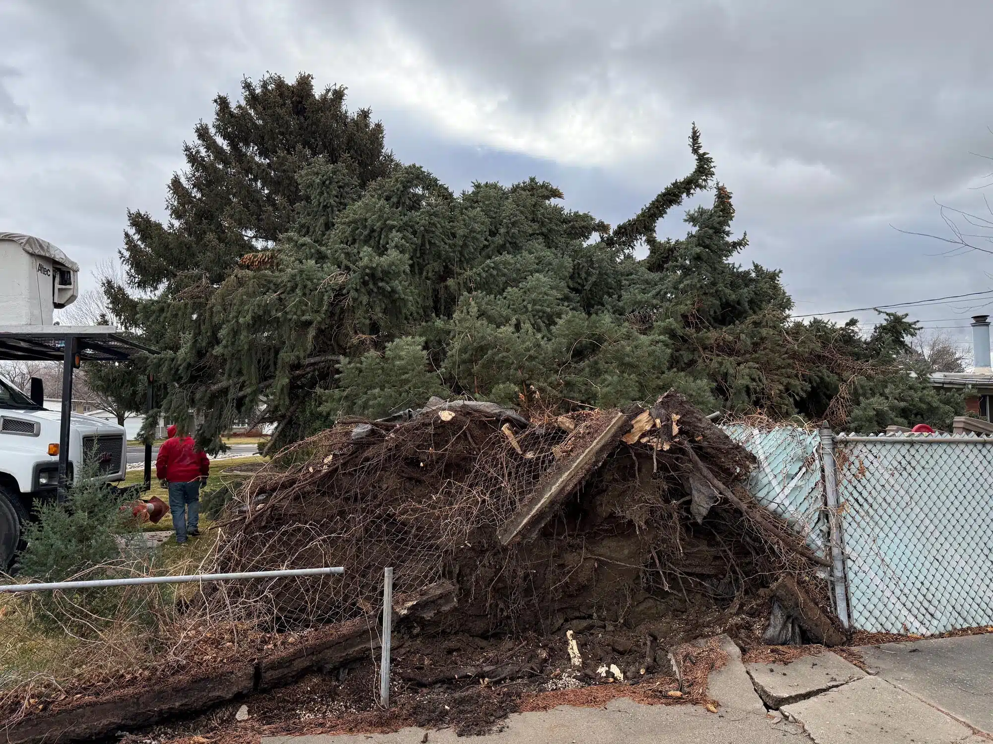 Storm damage cleanup after a large tree falls on residential property in Utah