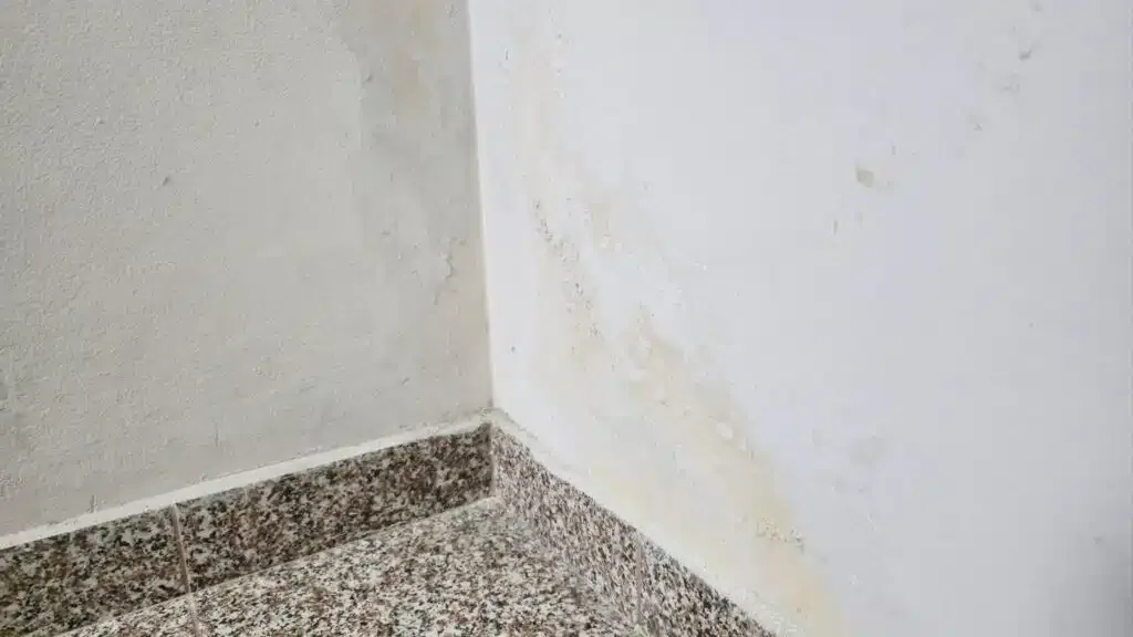 A corner of a room showing visible mold growth on the wall indicating potential moisture issues