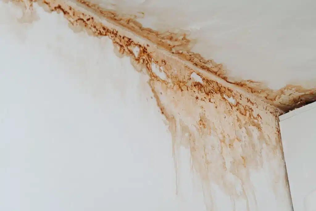 A ceiling showing significant mold growth and water damage indicating potential structural issues and poor ventilation