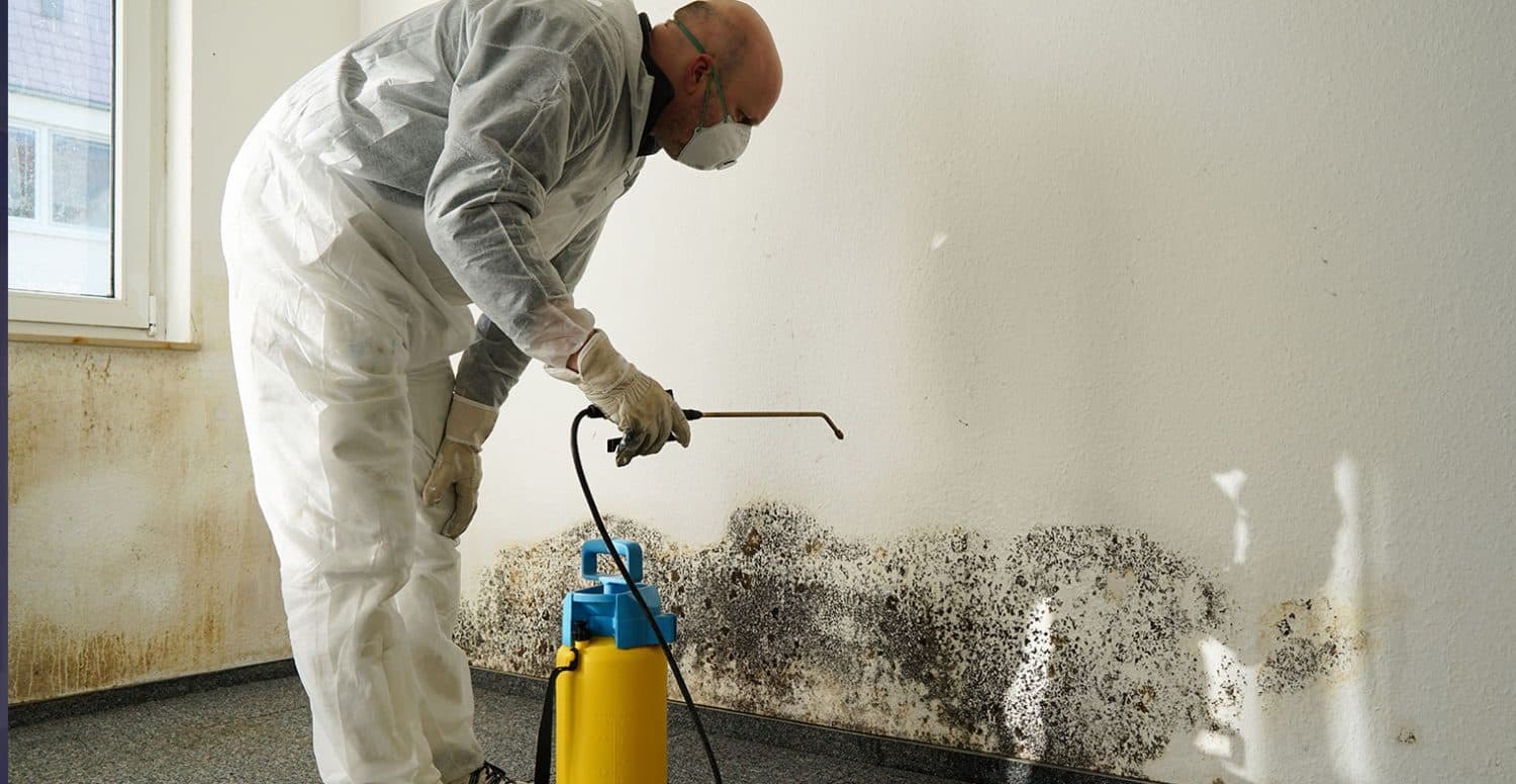 Utah Mold Damage Repair Service Utah Mold Damage Repair Service